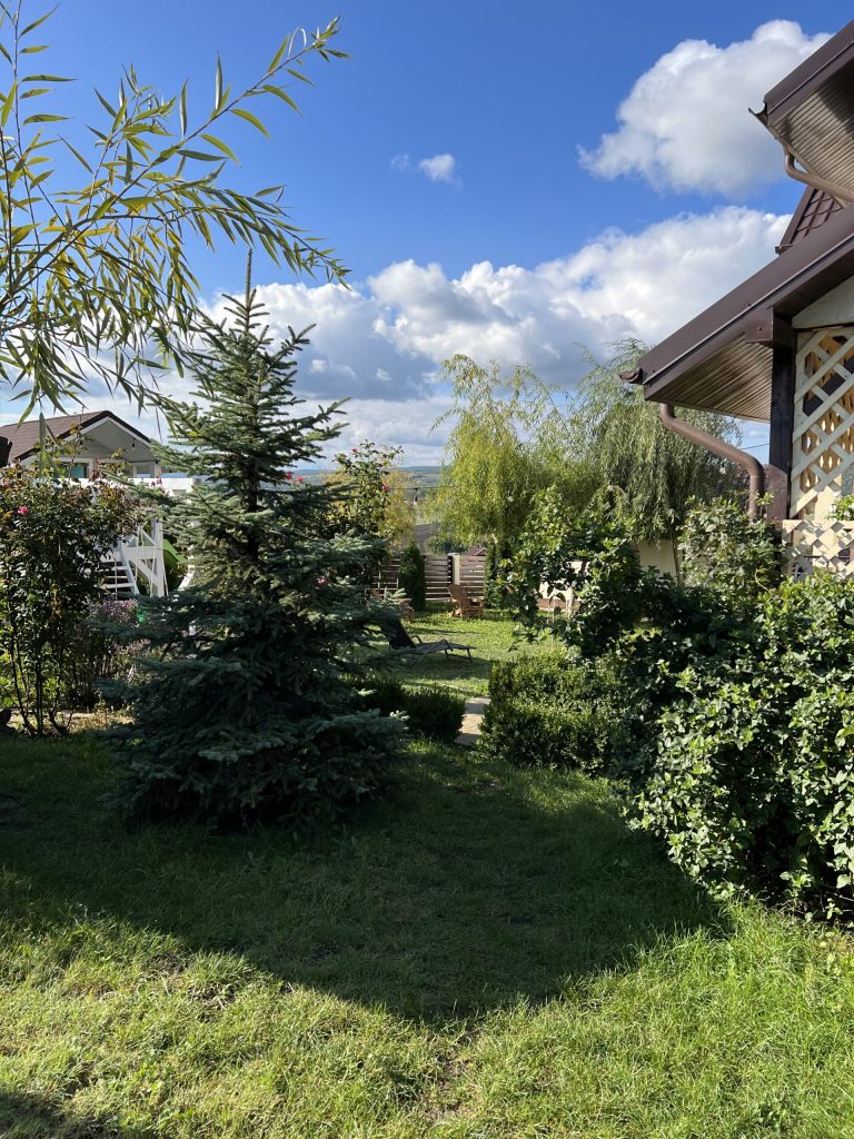 casă lângă Vaslui grădină