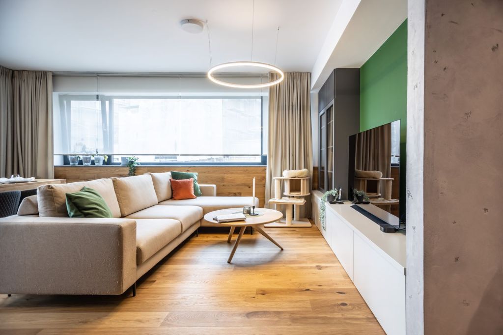 amenajare scandinava_living 10
