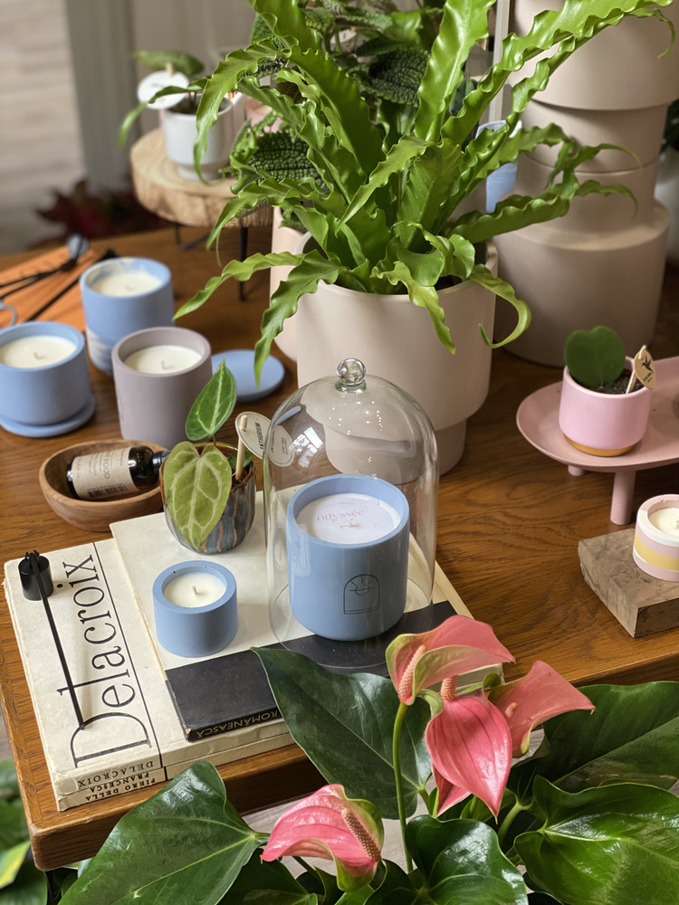PlantUp x Odyssee, The Fragrant Garden