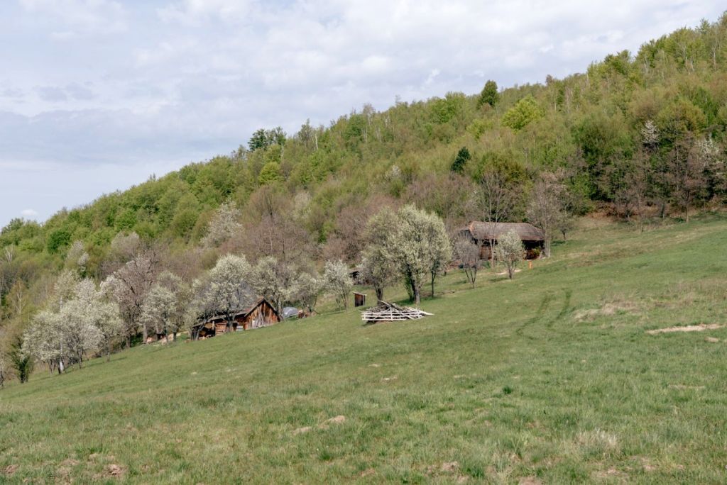 Coliba Glamping Retreat FOTO: Facebook