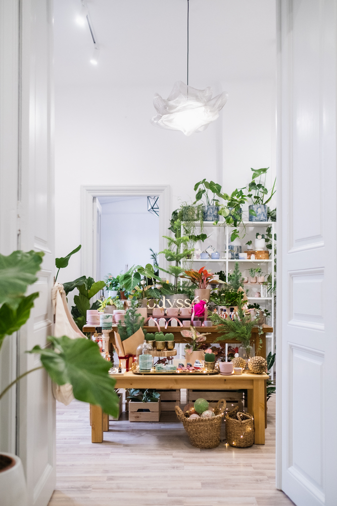 PlantUp x Odyssee, The Fragrant Garden