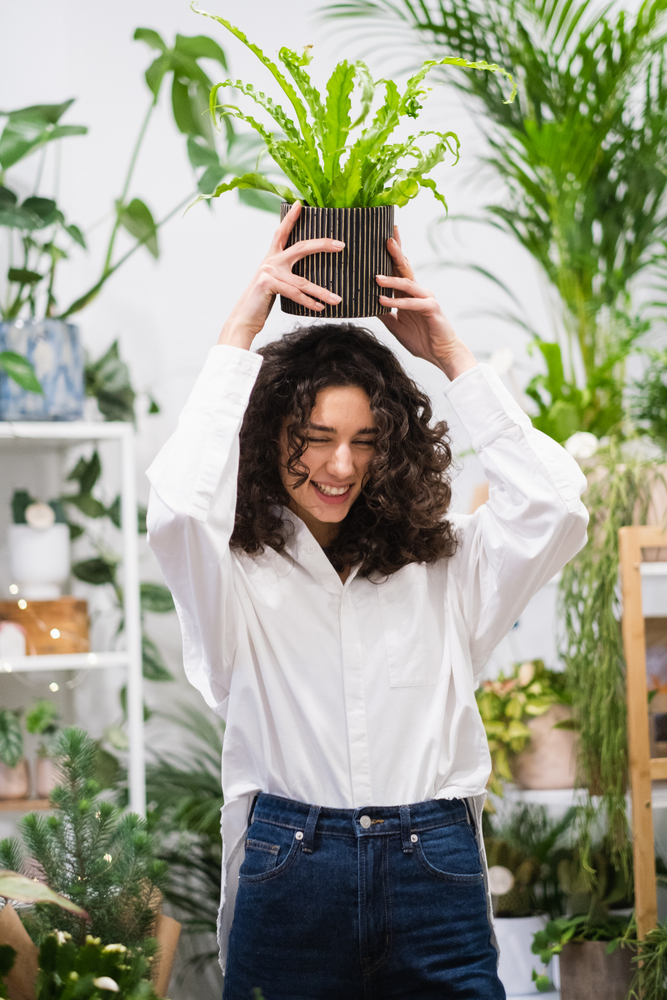 PlantUp x Odyssee, The Fragrant Garden