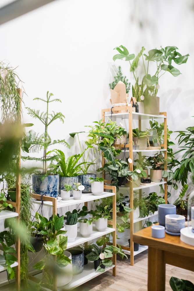 PlantUp x Odyssee, The Fragrant Garden