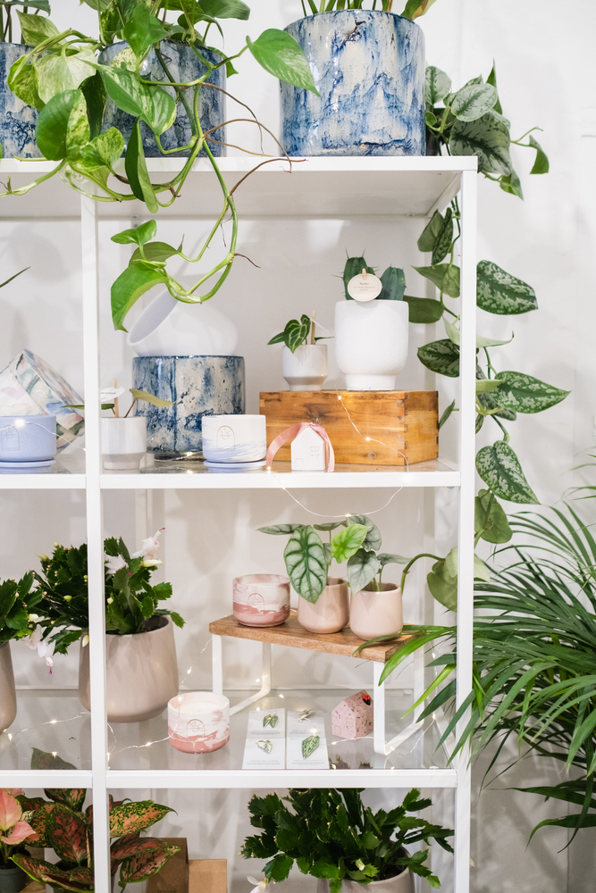PlantUp x Odyssee, The Fragrant Garden