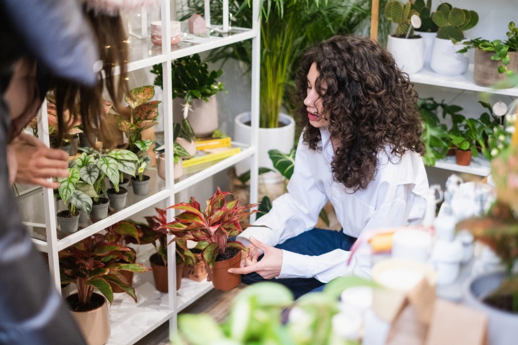 PlantUp x Odyssee, The Fragrant Garden