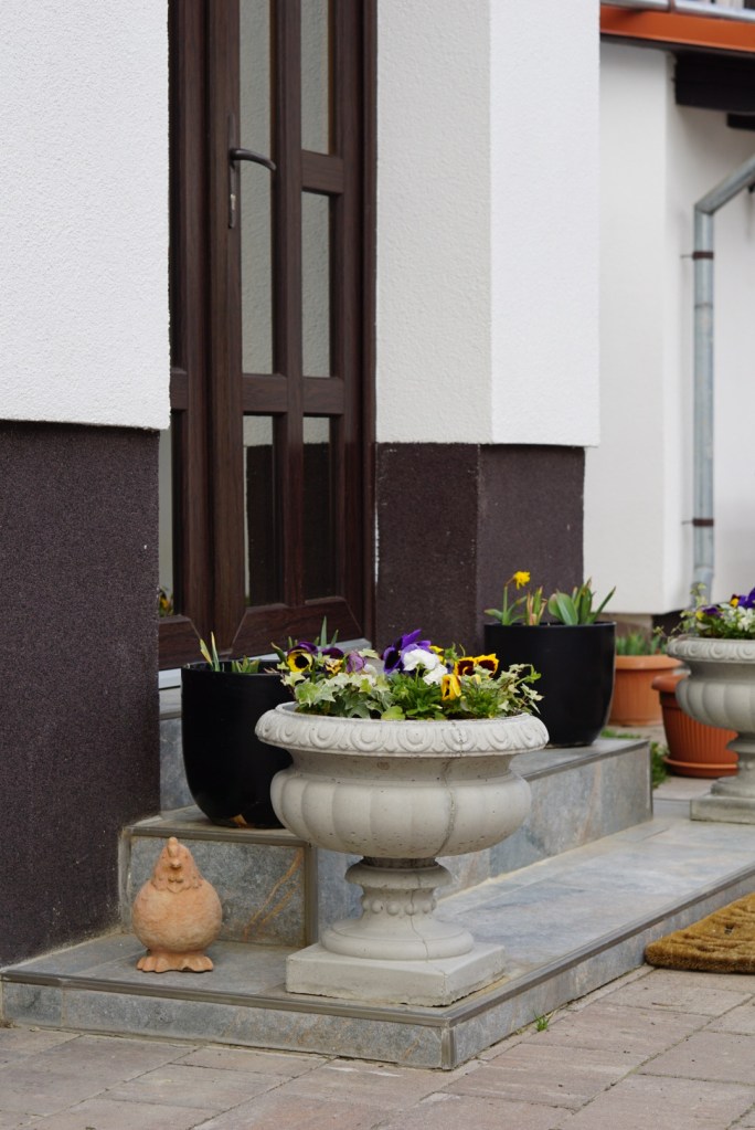 casă Țara Hațegului exterior