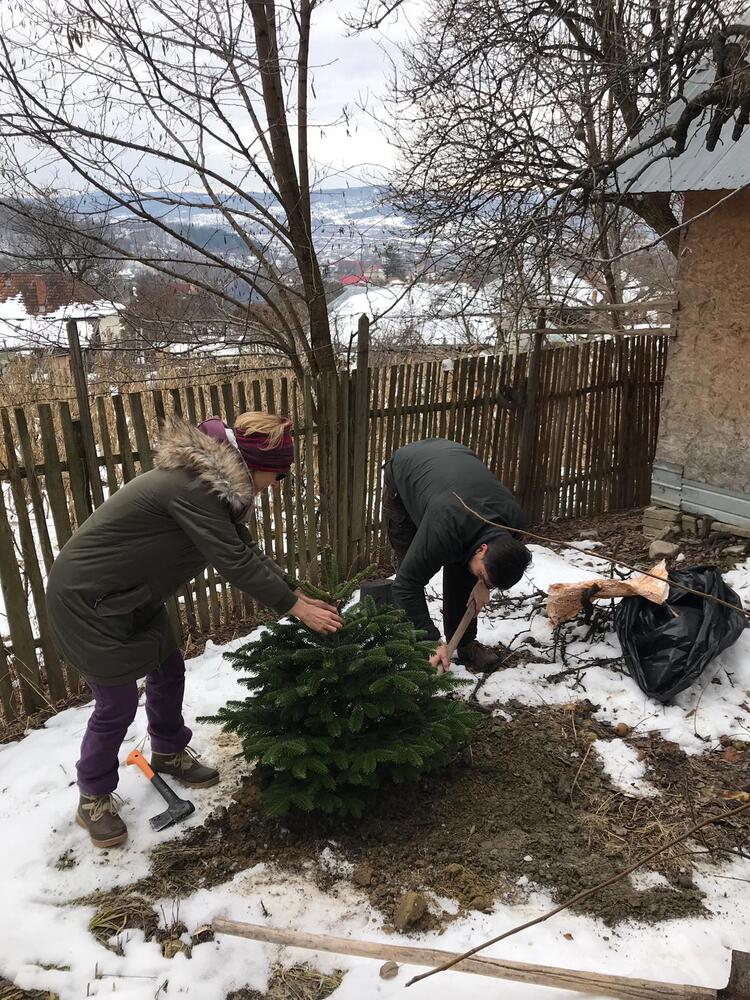 Terenul casei este la capătul unei ulițe din Cerbureni, un sat din comuna Valea Iașului