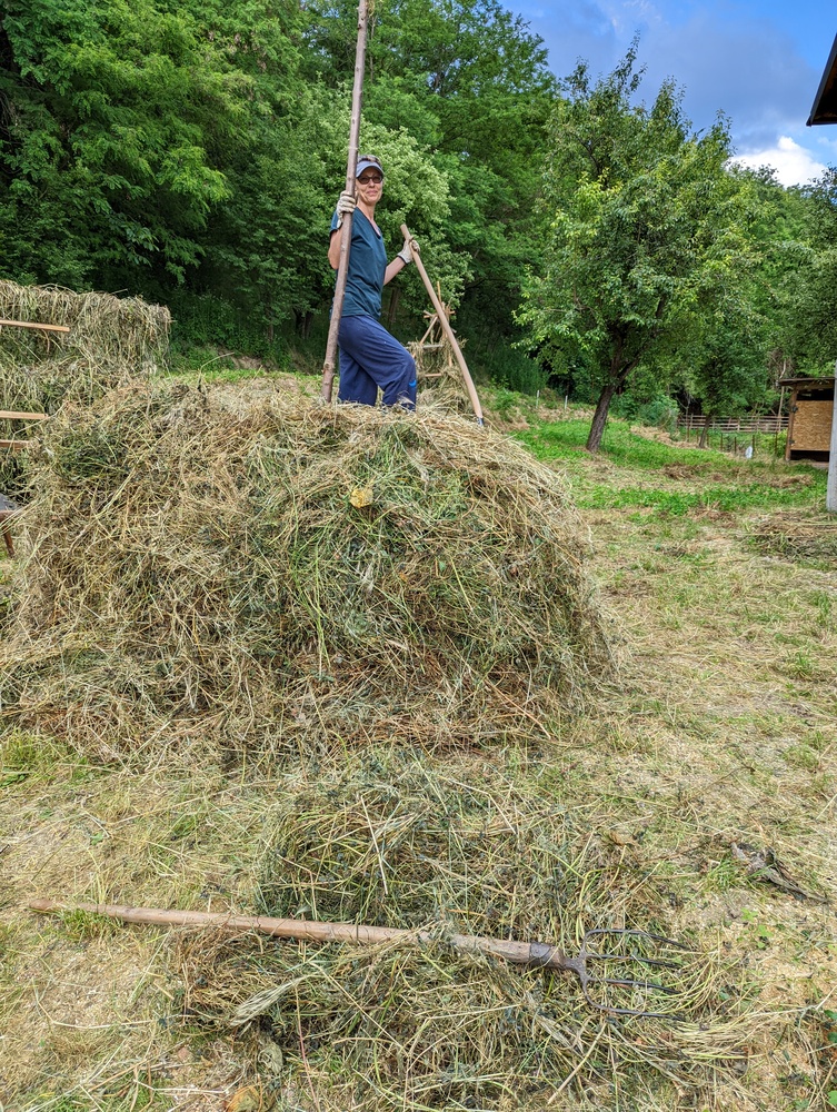 Andra și-a găsit fericirea la țară