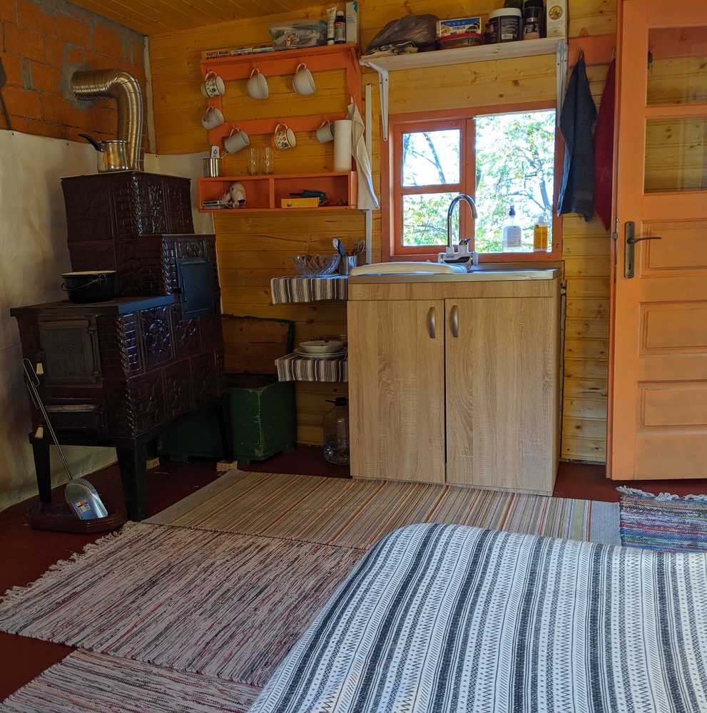 Andra și Adrian se simt în căsuță ca pe vremea bunicilor