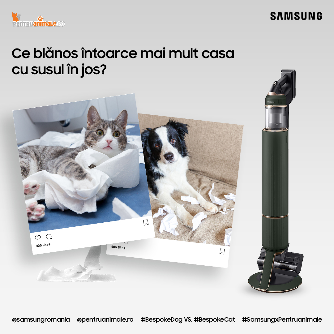 concurs animale de companie