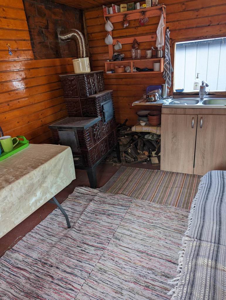 Andra și Adrian se simt în căsuță ca pe vremea bunicilor