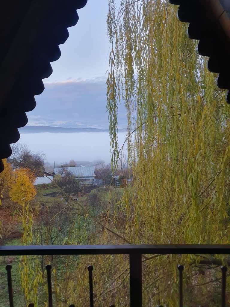 Priveliștea tinerei de la balconul cabanei