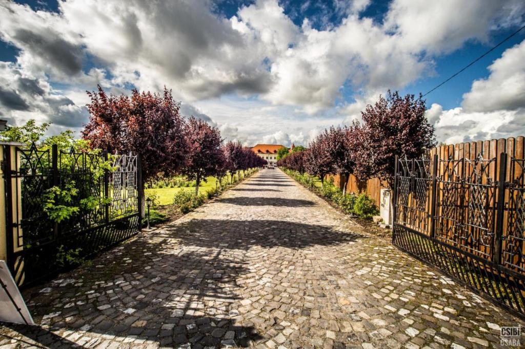 castelul haller booking