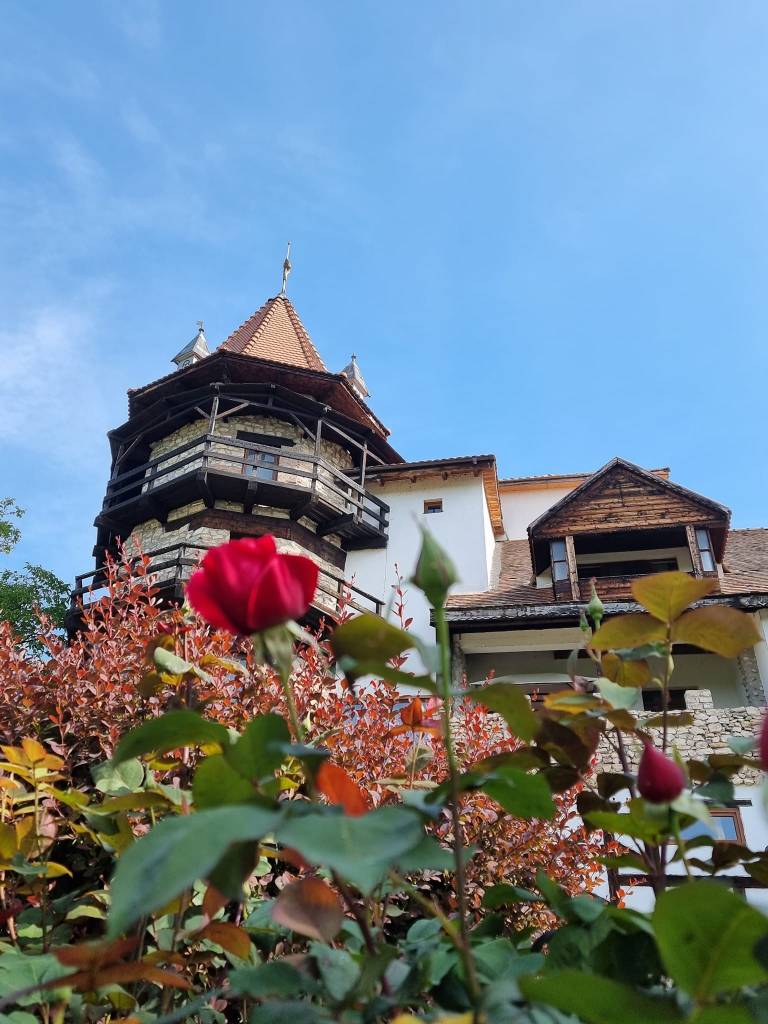 castelul lupilor facebook