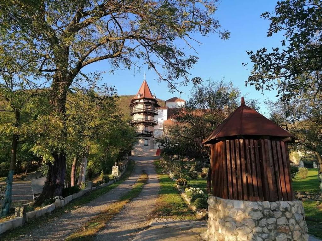 castelul lupilor facebook