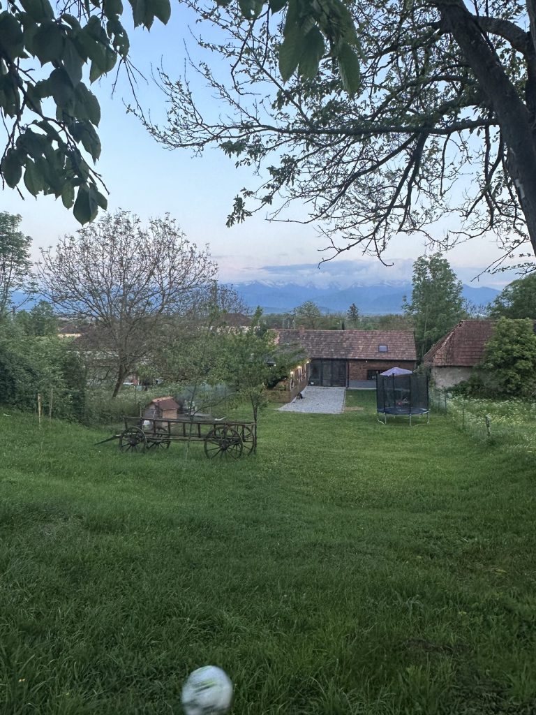 Proprietarii și-au căutat casa timp de 8 luni și 15 minute