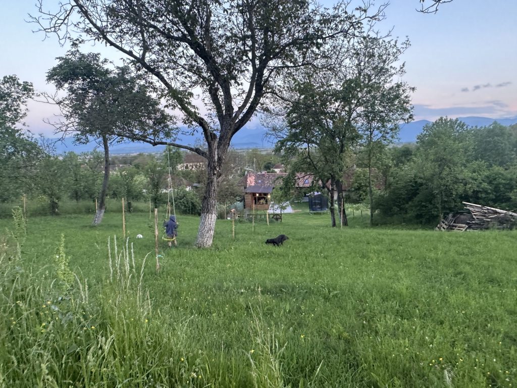 Proprietarii și-au căutat casa timp de 8 luni și 15 minute