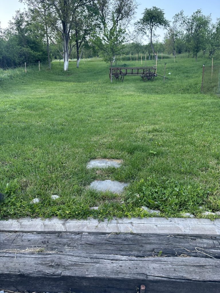 Proprietarii și-au căutat casa timp de 8 luni și 15 minute
