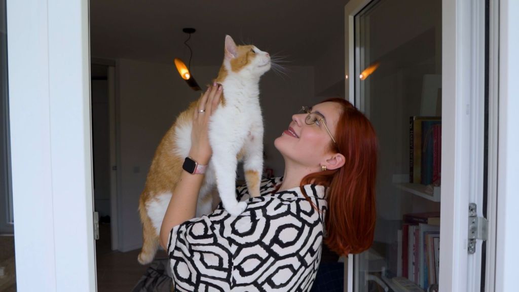 daily cat aleka vladareanu ginger