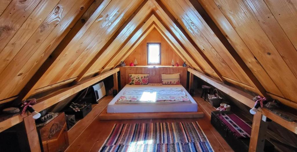 Cabana Staier booking