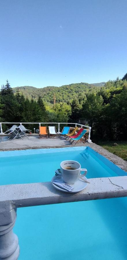 Cabana cerbu booking
