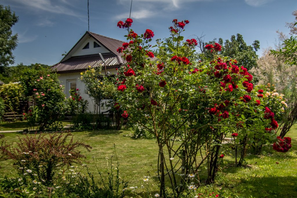 Bărbatul se simte împlinit și liniștit în mijlocul naturii