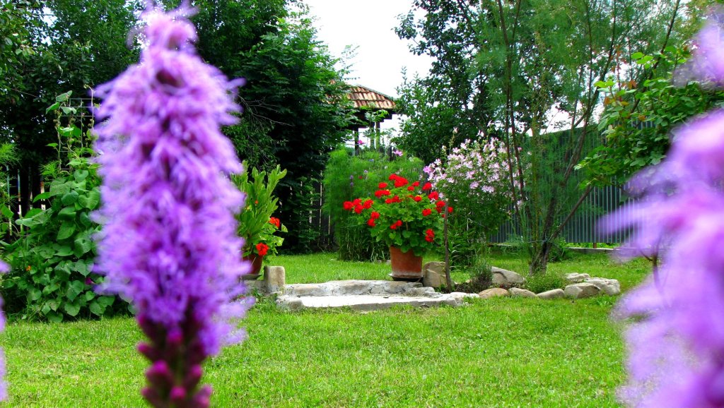 Bărbatul se simte împlinit și liniștit în mijlocul naturii