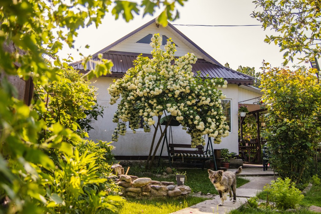 Proprietarul a început renovarea în 2014, iar în 2020 a schimbat acoperișul