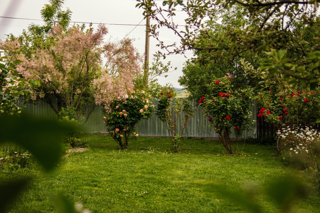 amenajarea grădinii și renovarea casei reprezintă forme de creativitate și dezvoltare personală pentru el