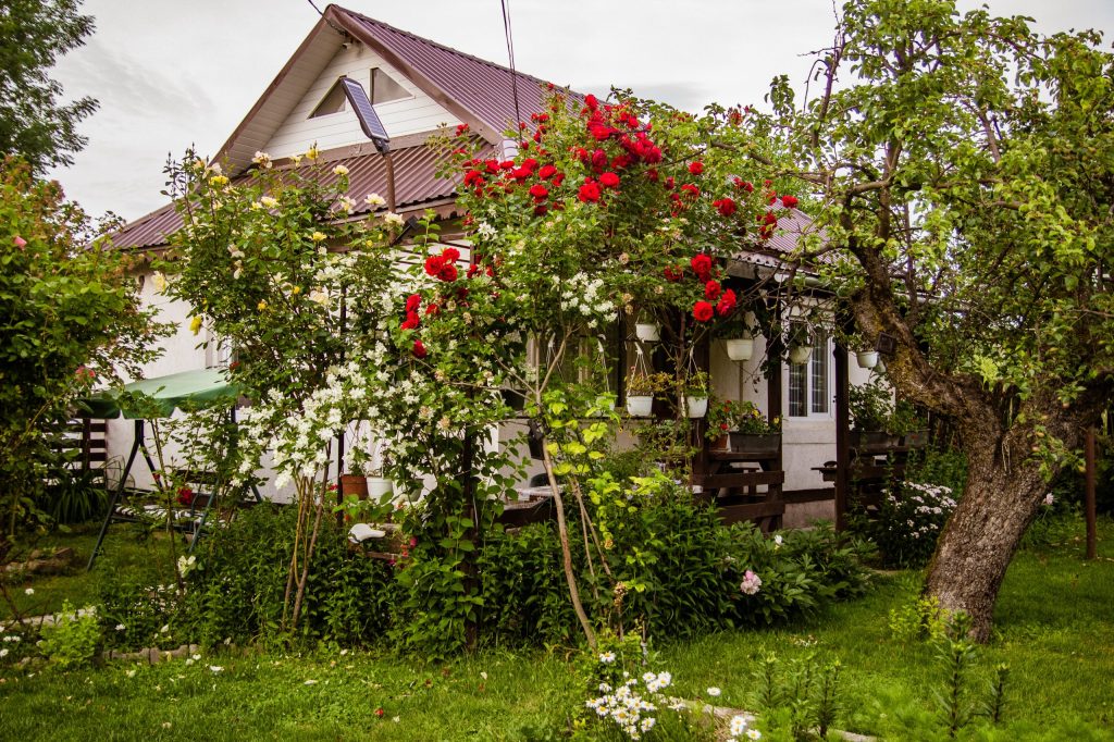 casa părintească