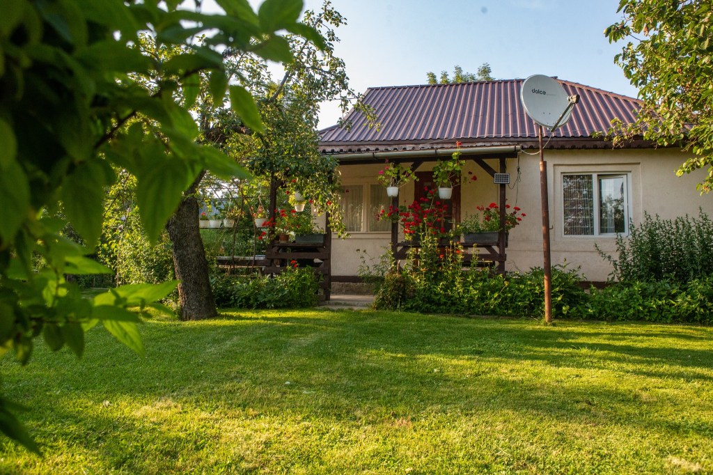Amenajarea grădinii și renovarea casei reprezintă forme de creativitate și dezvoltare personală pentru Marian
