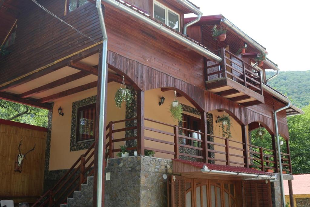 cabana la busu booking