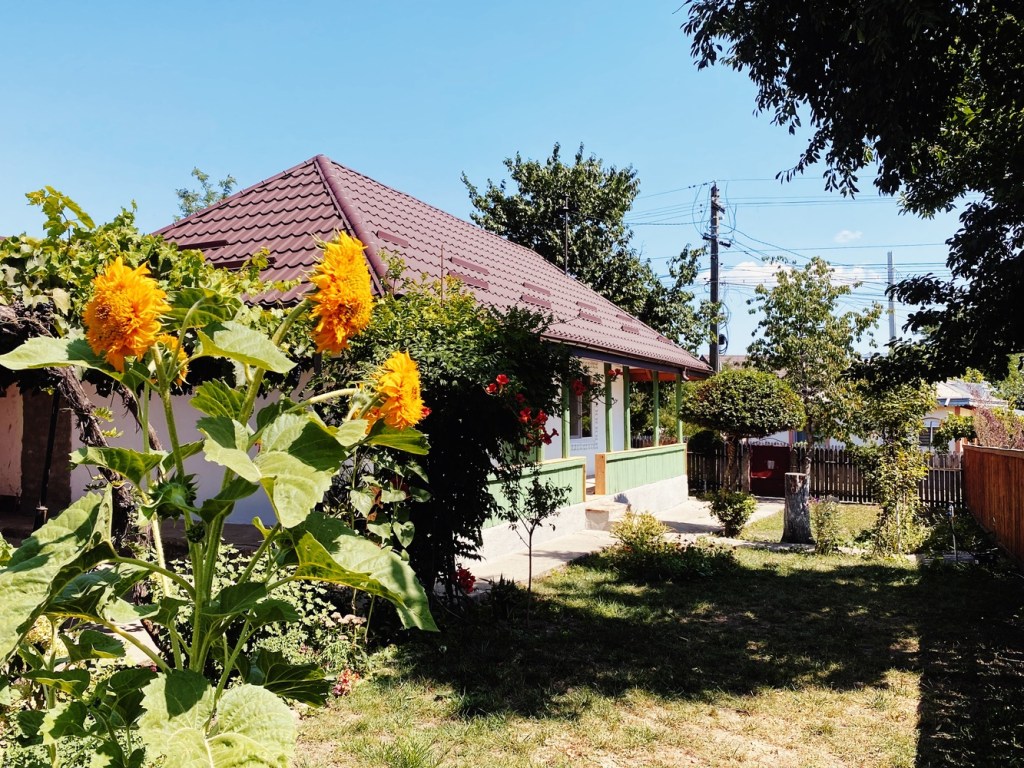 casă chirpici
