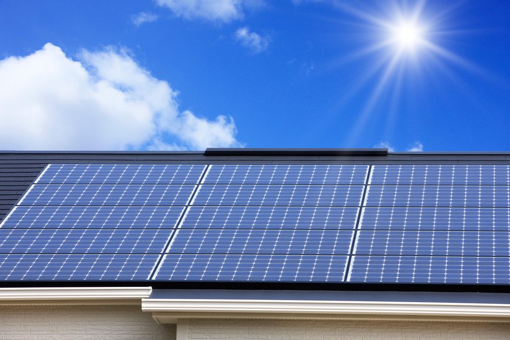 cat castiga un prosumator shutterstock