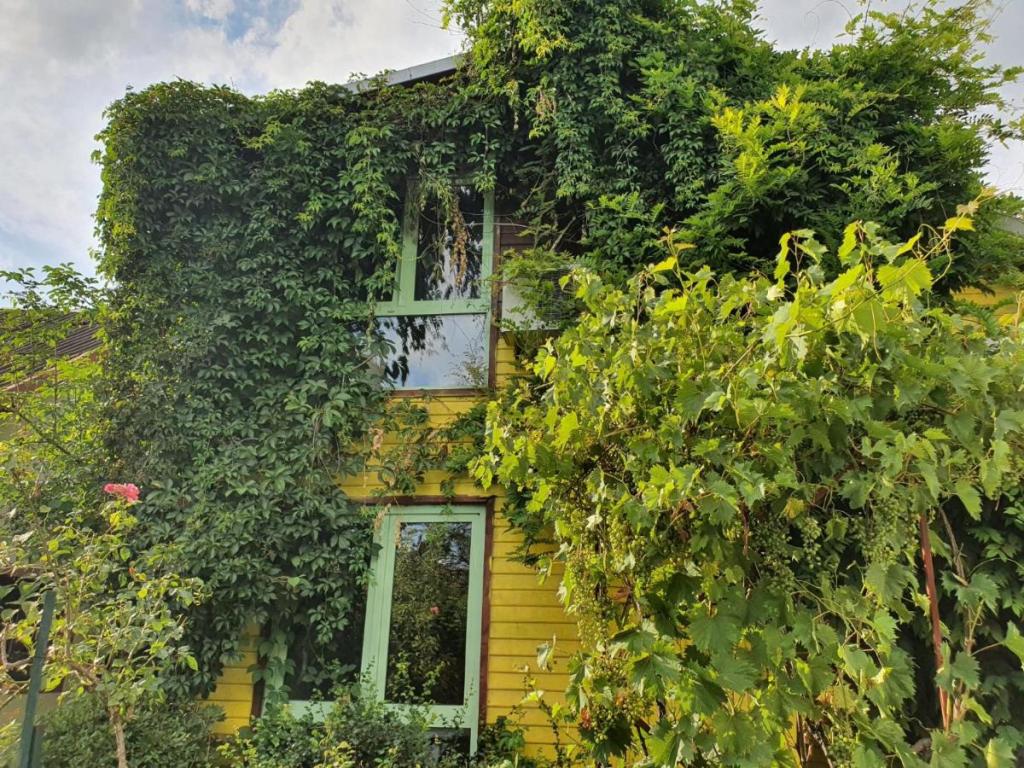 pensiunea deceneu cazare cea mai mare salina romania shutterstock