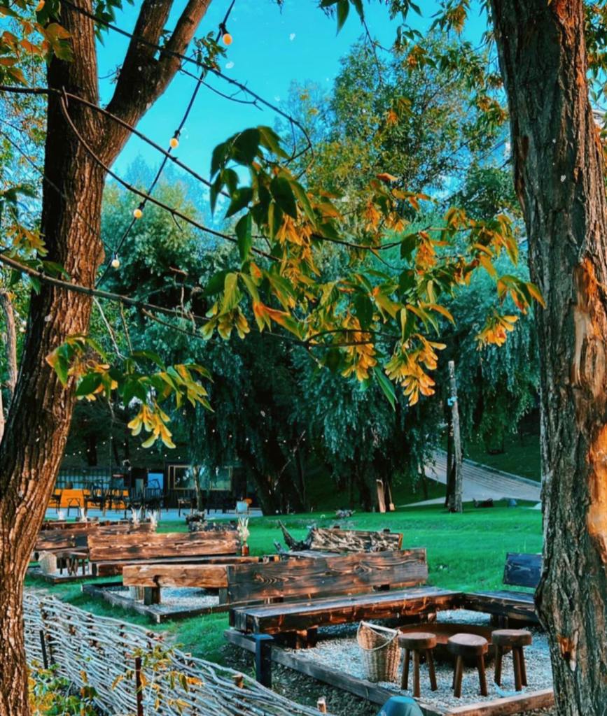 Indigen / Space for the soul