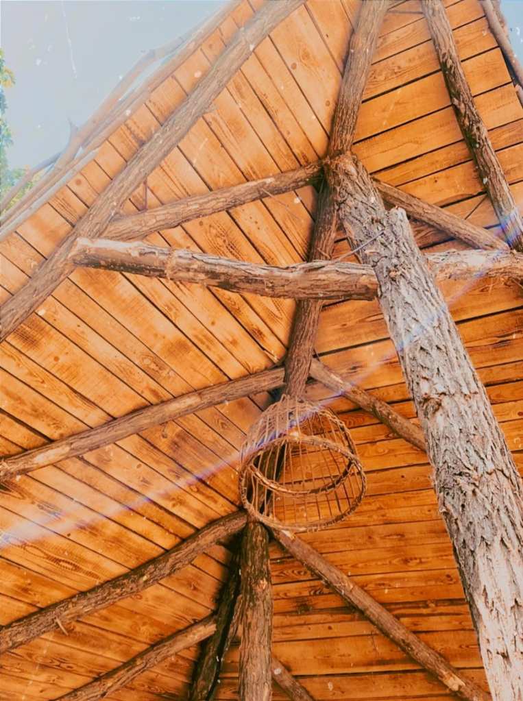 Indigen / Space for the soul