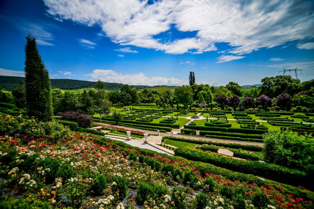 cele mai frumoase grădini botanice din România
