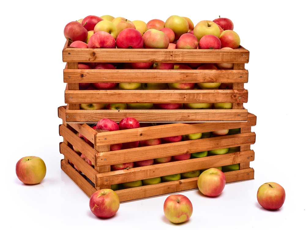 cand culegem merele shutterstock