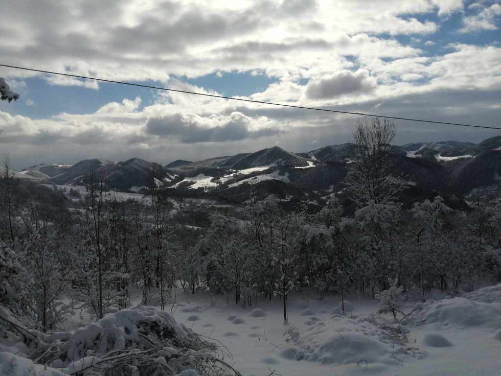 Locuința este poziționată lângă o pădure, într-un peisaj de poveste