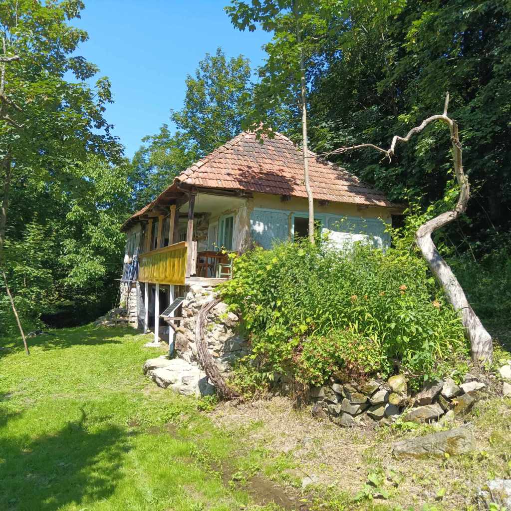 Locuința este poziționată lângă o pădure, într-un peisaj de poveste