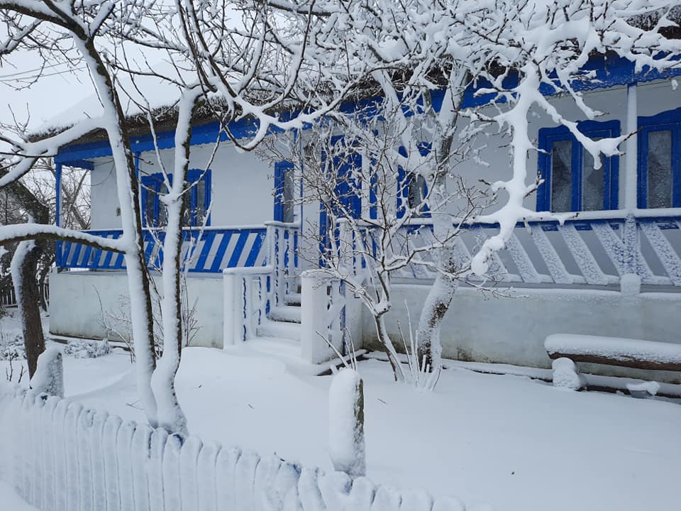 Antreprenoarea susține că are o gospodărie vie, mereu în schimbare