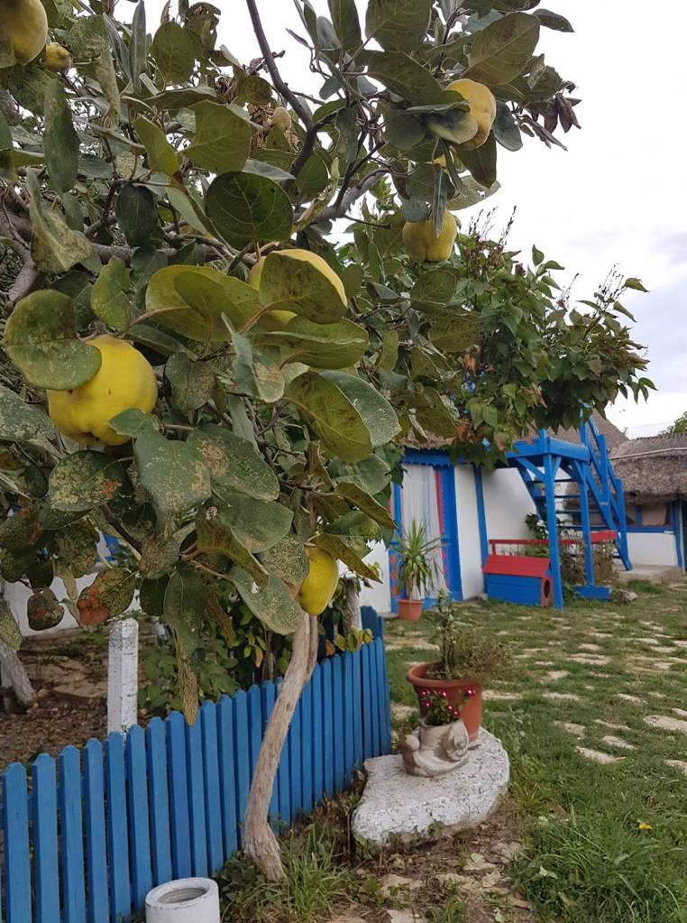 Proprietara și-a dorit și un loc de unde turiștii să plece cu suveniruri