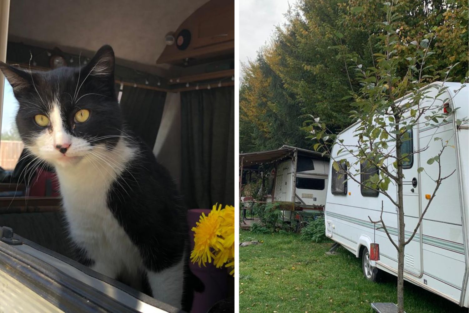 Crusoe și rulota Ralucăi