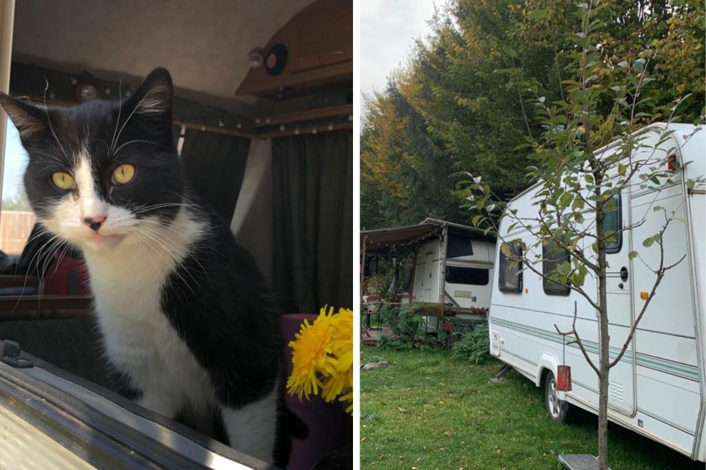 Crusoe și rulota Ralucăi