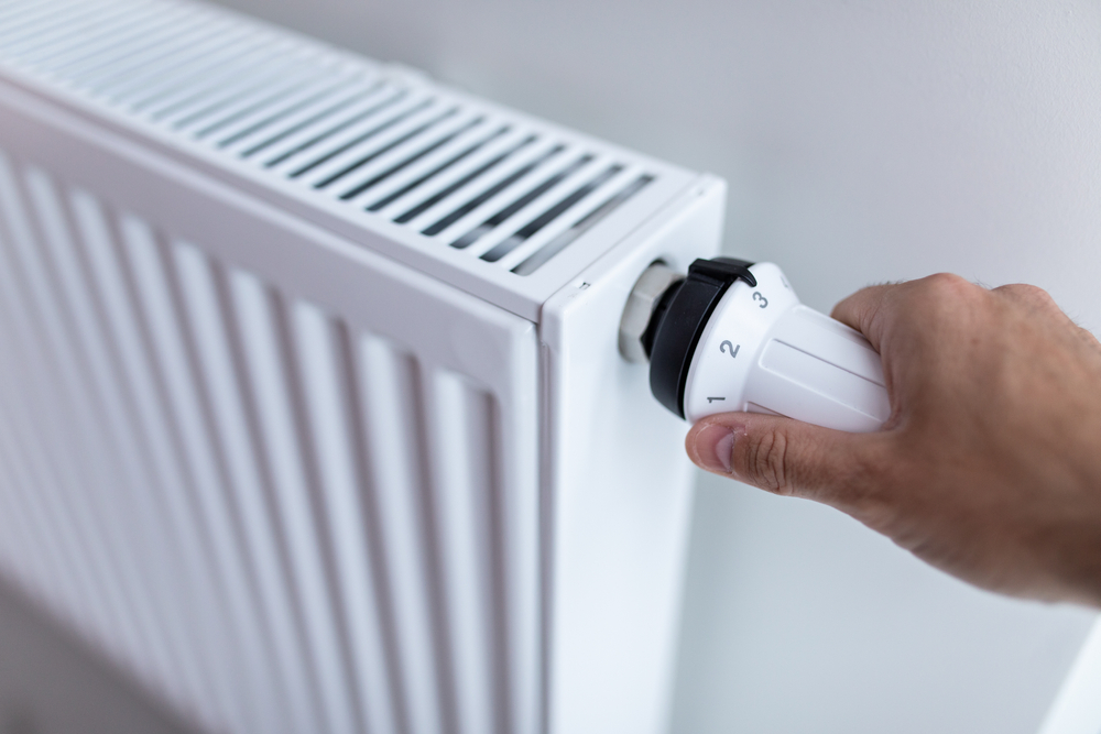 cat costa debransarea de la radet shutterstock