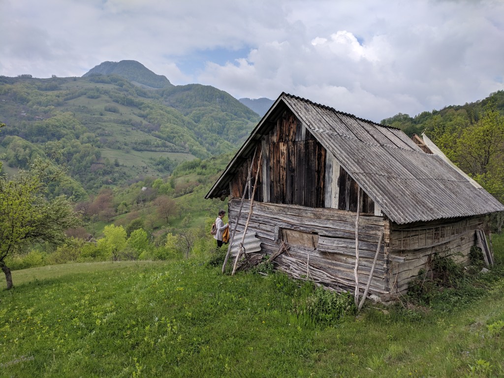 Prima șură când au cumpărat-o, înainte de renovare