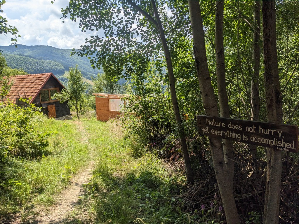 La Dealul Cu Trei găsești doar liniște și voie bună