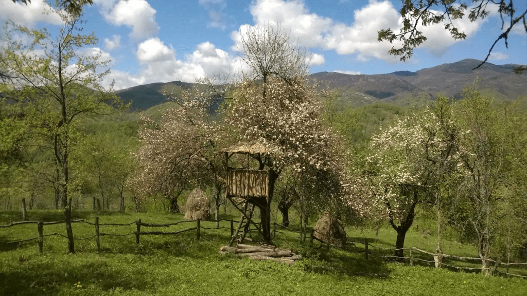 Carpathian Cottage, căsuța construită și renovată de Codrin