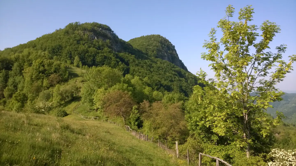 Carpathian Cottage, căsuța construită și renovată de Codrin